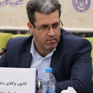محمود احمدی