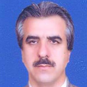 محمدرضا امیر محمدی