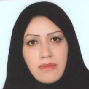 نیره برومند ابراهیمی
