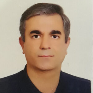محمدرضا عاملی