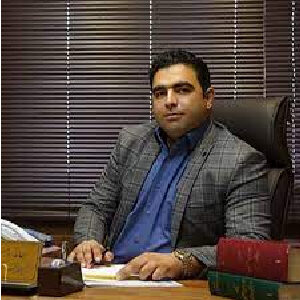 حامد امیری