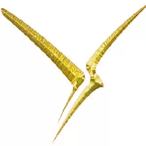 موسسه مهاجرتی افق روشن