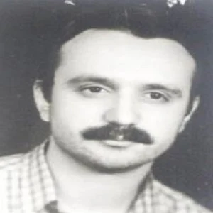 محمد دولت آبادی