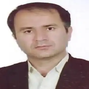 مهدی پایدار