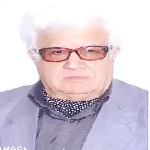 محمود مسلمی عقیلی